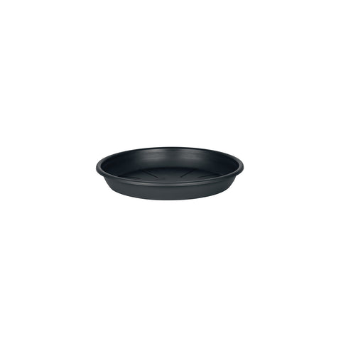 Plato Maceta 15 cm