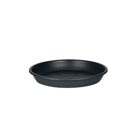 Plato Maceta 20 cm