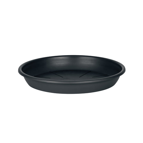Plato Maceta 30,5 cm