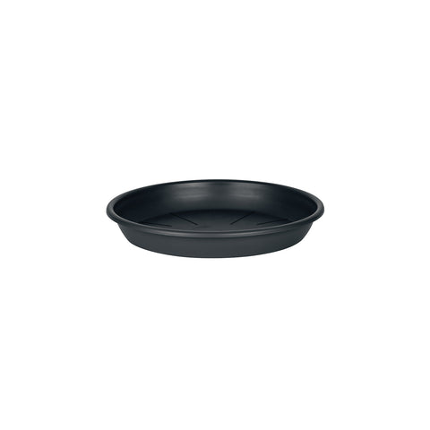 Plato Maceta 17,5 cm