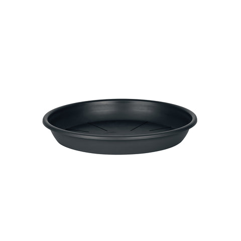 Plato Maceta 25 cm
