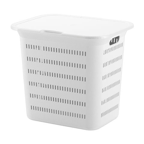 PongoTodo 55 L